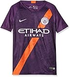 Nike Kinder Manchester City FC Breathe Stadium 3rd T-Shirt, Night Purple/Reflective Silver, M