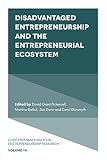 Disadvantaged Entrepreneurship and the Entrepreneurial Ecosystem (Contemporary Issues in Entrepreneurship Research Book 14) (English Edition)