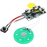 Garsent Beschreibbare Sprachmodul, 4 Minuten DIY beschreibbare Grußkarte Modul Musik Sound Talk Chip Musical Audio Radio Recorder für Grußkarte.(Einzelspiel)