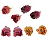 F Fityle 8 Stück Schöne Epoxidharz Getrocknete Blume Rose Charms Dangle Charms DIY Ohrring Fundstücke Schmuckherstellung Halskette Anhänger Handwerk Zubehö