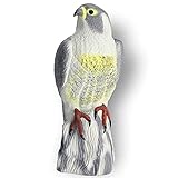 KADAX Vogelschreck aus Kunststoff, naturgetreuer Falke, Greifvogel, Raubvogel Attrappe, Vogelabwehr, Taubenabwehr, Taubenschreck, natürliche Schädlingsbekämpfung (1 Stück)