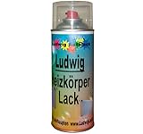 Heizkörperlack Spray 400 ml - RAL 9016 Verkehrsw