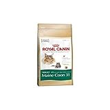 ROYAL CANIN Adult Alleinfutter für Maine Coon 31 (10 kg) (2 Stück)