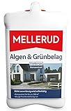 MELLERUD Algen & Grünbelag Entferner 2,5 Liter Konzentrat für bis zu 500 m² (1 Stück)