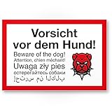 Komma Security Vorsicht Hund mehrsprachig Angry Style 6 Sprachen - Hunde Kunststoff Schild Hinweisschild Grundstück - Türschild Haustüre Warnschild Einbruchschutz - Achtung H