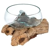 Nexos Handgemachte mundgeblasene Glasschale auf Wurzelholz Glasvase Dekoschale aus Glas Ø20cm ca. 30 x 25 x 15 cm Reine Handarbeit Gamal Teak H