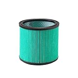 Vacmaster 951316 Wet and Dry Hepa 13 Kartuschenfilter, grü