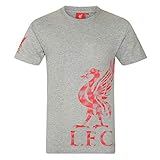 Liverpool FC - Kinder T-Shirt mit Grafik-Print - Offizielles Merchandise - Geschenk für Fußballfans - Grau - 12-13 J