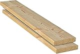 Gartenwelt Riegelsberger Glattkantbrett Konstruktionsholz sibirische Lärche 27 x 142 mm Länge 100 cm g