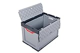 Profi-Faltbox mit Deckel 2er Set Auer Faltbox, FBD 64/42, 60x40x42 cm, 87 Liter, Behälter Stapelbehälter Aufbewahrungskiste Transportbox Plastikbox