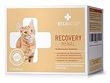 RECOACTIV® RECOVERY Renal für Katzen 3 x 90 ml - Hochkalorisches Diät Alleinfuttermittel f. Katzen mit Nierenfunktionsstörungen, in der Rekonvaleszenz und zur Gewichtszunahme, bei Nahrungsverweigerung