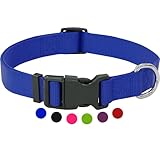 Amazon Brand - Umi - Hundehalsband Nylon, verstellbar | viele Farben & Größen | für kleine & große Hund Katze Welpe | Hunde-Halsbänder | Katzen-Halsband Welpen-Halsband | Blau, S