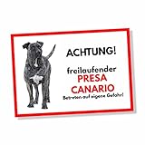 Presa Canario Freilaufender Hund Dog Schild Spruch Türschild Hundeschild W