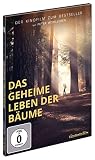 Das geheime Leben der B
