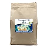 CELLAVITA Sangokoralle Vita - Der Basendrink (SANGO) Sango Korallenpulver 8-Monatsvorrat 1kg | Calcium, Magnesium & wertvolle Mineralien | Korallenk