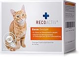 RECOACTIV Nieren Tonicum für Katzen, 3 x 90 ml, Ergänzungsfuttermittel zur Rekonvaleszenz bei frühen Anzeichen Einer Nierenfunktionsstörung der Katze sowie zur Prophylax