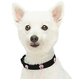Amazon Brand - Umi Niedliche Pfoten Designer Hundehalsband in Schwarz mit Metallschnalle, Hals 23 cm-32 cm, für kleine R