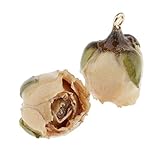 P Prettyia 2pcs Harz Getrocknete Rose Anhänger Deko Schmuck Charms DIY Basteln für Schmuckherstellung - beige mit B