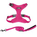 Voyager Step-In Lock Hundegeschirr und reflektierende Hundeleine, Kombi-Set mit Neoprengriff, 1,8 m lang, unterstützt kleine und mittelgroße Hunderassen, Welpen / Katzen, Fuchsia (mit Leine), XXXS