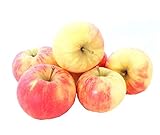 Äpfel Elstar vom Bodensee fein-säuerlicher Apfel 1-10 KG (10)