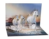 KE 3D Pop Up Karte - Geburtstags-Karte für Pferdefans - Pferde am Strand - 3D Gruß-Karte - Glückwunsch Klapp-Karte mit Glitzer-Elementen - DIN B6