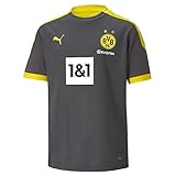 PUMA BVB Training Jersey Jr New T-Shirt, Asphalt-Cyber Yellow, 140