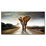 Fotoleinwand Afrikanischer Wilder Elefant, Poster Wohnzimmer Bilder, Ohne Rahmen, Leinwandbild Bild Küche Wohnzimmer Bilder Wandbilder Schlafzimmer Deko Bilder Wanddekoration Design Wand Bild 40 *80