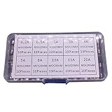 100 Stück Sicherung träge, Schlag Feinsicherungen, Schnell schmelzen Glas sicherungen, Glassicherung, (0.2A 0.5A 1A 2A 3A 5A 8A 10A 15A 20A) Glasrohrsicherung mit Box