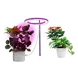 DRXX LED-Wachstumslicht für Zimmerpflanzen, Pflanzenwachstumslichter für Zimmerpflanzen, Schaltersteuerung LED-Chips Pflanzenwachstumslampe für Sukkulenten, Narzissen, Aloe, Orchidee, Thy