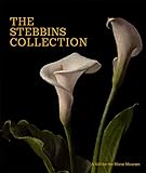 The Stebbins Collection: A Gift for the Morse Museum (English Edition)