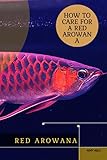 Red Arowana: How tо Care for а rеd Arow