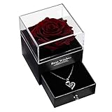 Echte Rose mit Liebe Sie Halskette Geschenk für sie, Rosenblume zum Valentinstag Muttertag Jubiläum Geburtstagsgeschenk für Frauen, Freundin, Frau, Mutter (Weinrot)