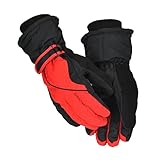 QOXEFPJZ Handschuhe Winter Männer Frauen Ski Handschuhe Schneemobil Motorrad Reiten Winter Warme Skihandschuhe Winddicht wasserdichte Radhandschuhe (Color : A, Size : M)