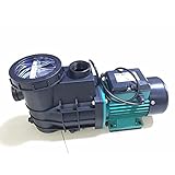 ZTBH Boosterpumpe aus Edelstahl für Rasen-Jet-Pumpen Fischteich-Spa-Pool-Wasserpumpe 200w,selbstansaugende Pumpe for Wasserschwimmbad für Hausgarten Wassertransport Bewässerung