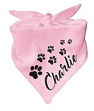Kleiner Fratz Hunde Dreiecks Halstuch (Fb: rosa) (Gr. 1 (55 cm)) Name des H