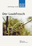 Der Laubfrosch - Hyla arb