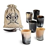 VIKING CRAFT® Trinkhorn Wikinger Hornbecher 6x ca. 80ml – Authentisches Wikinger Becher Set für Deinen Wikinger Met Honigwein - Wikinger Deko, Met Becher, Horn Set, Mittelalter Bierkrug, LAR
