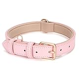 LEACOOLKEY Echtleder Hundehalsband für große mittelgroße Hunde Klassisch weich atmungsaktiv Waterproof C