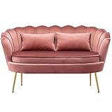 Itopfoxeu Modernes Zeitgenössisches Samt-Loveseat-Sofa Doppel Couch 2-Sitzer-Sofa Gepolsterter Wannenstuhl mit Goldenen Metallbeinen, Gelegentlicher Loungesessel für Wohnzimmer, Schlafzimme R