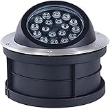 YYDSA Hilfsleiter Outdoor-LED-Beleuchtung wasserdichtes IP67-Projektor, um Palmenimmeln und Steinwände aufzuklären,Red Light,12W(24V)