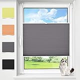 HOMEDEMO Verdicktes Plissee Klemmfix ohne Bohren, (Dunkelgrau 70x130cm), Plisseerollo mit Klemmträger, Sichtschutz & Sonnenschutz, Rollos für Fenster & Tü
