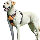 Eagloo Hundegeschirr Geschirr für Große Hunde Anti Zug Mittelgroße Brustgeschirr No Pull Sicherheitsgeschirr Auto Dog Harness Labrador Welpengeschirr Joggen Ausbruchsicher Weich Gepolstert Orange L