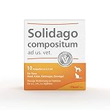 Solidago compositum ad us. vet - u.a. Bestandteil der SUC-Therapie, 10 Amp