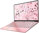 Daysky V14S Laptop, 14.1'' Full HD Notebook, Celeron N5095, 12GB RAM, 512GB SSD, Windows 10, USB 3.0, Type C, Hintergrundbeleuchtete Tastatur, Ganzmetallgehäuse, Dünn und Leicht (Rosa)
