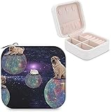 CHENWE Schmuck Aufbewahrungsbox Galaxie Planeten Hund Schmuck Halter Fall Kleine Reise Schmuck Box Organizer Tragbare Lagerung for Halskette Ohrring Ring