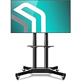 ONKRON TV Ständer Mobile TV Standfuss TV Rollwagen Stand 40 - 65 Zoll mit Rollen höhenverstellbar rollbar für Flach&Curved Fernseher Bodenständer mit Halterung VESA TS1351 Schw