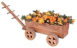 Andrewex Pflanzwagen Holz braun Blumenwagen Blumenkarre Pflanztopf Bollerwagen Dek