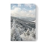 artboxONE Leinwand 30x20 cm Natur Eingeschneiter Winterwald von Michael Valjak