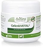AniForte Gelenk-VETAL 3 Gelenkpulver für Hunde 250g - Naturprodukt mit Grünlippmuschel-Pulver, Kollagen aus Fischfang und Teufelskrallenwurzel, Natürliche Kraft für Gelenke und Bewegung