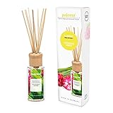 pajoma Raumduft Lemongras Ginger, 1er Pack (1 x 100 ml) in Geschenkverpackung